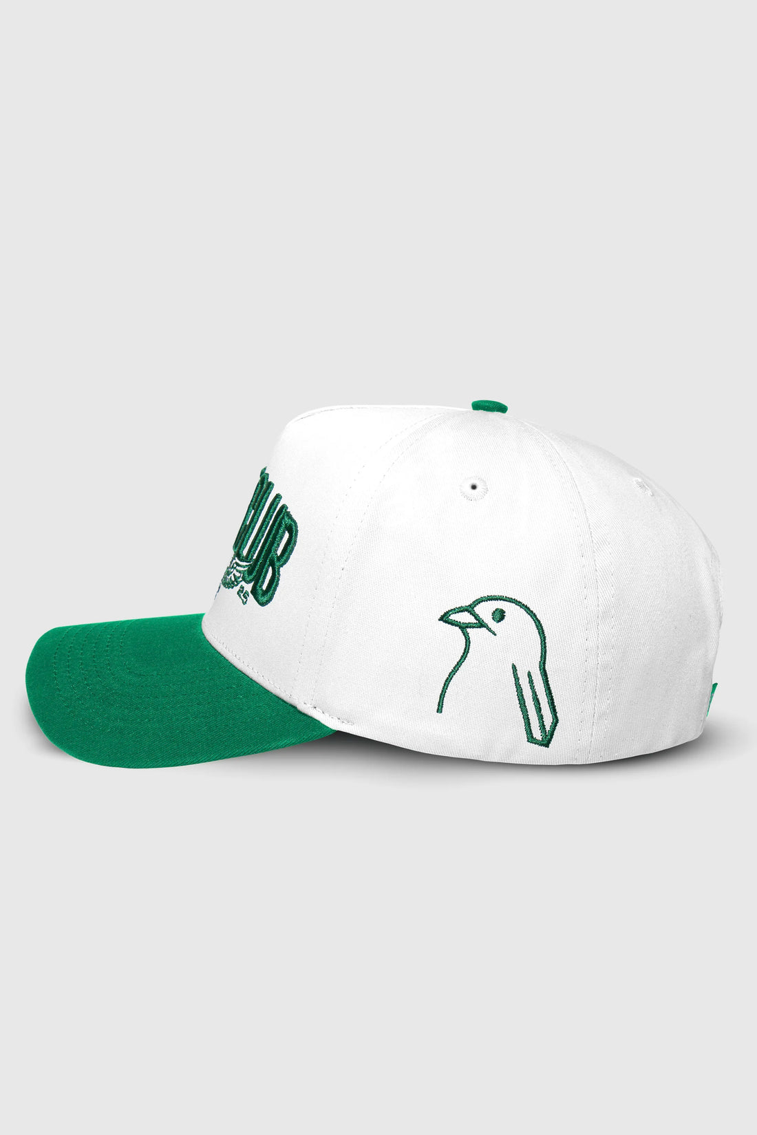 Birdie Club Snapback